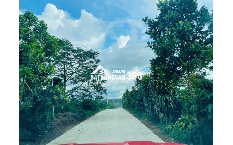 ĐẤT LỘC AN LÂM ĐỒNG CÓ THỔ CƯ TIẾP GIÁP HỒ CHỈ 3,9tr-4,250tr/m2